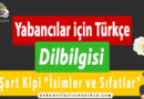 Yabancılar için Türkçe “Şart Kipi – İsimler ve Sıfatlar”
